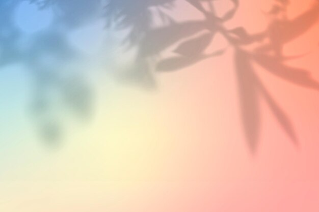 peach shadow aesthetic background vector with blank space