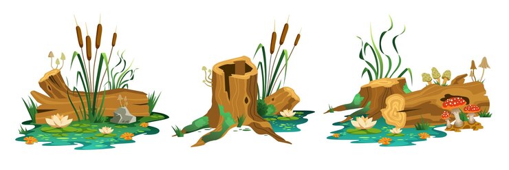 Gratis Vektor sæt med tre isolerede sumpskovsammensætninger med udsigt over vilde mosestubbe, stammer og svampe, vektorillustration