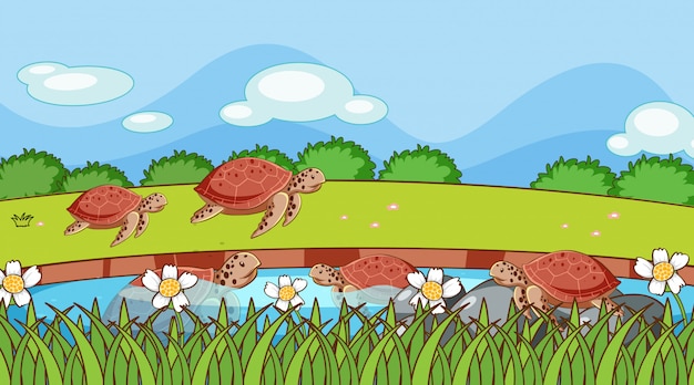 scene with turtles in the pond