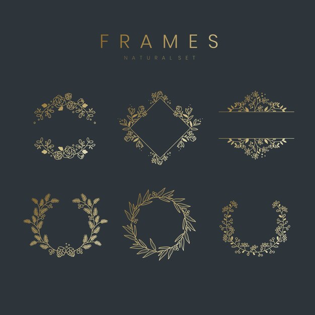 Set of botanical frame design elements vector