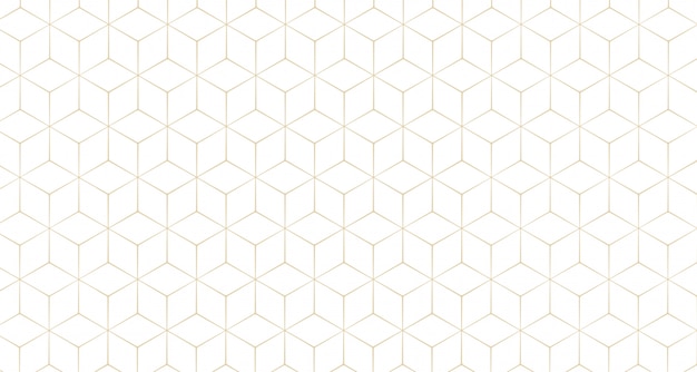 stylish hexagonal line pattern background