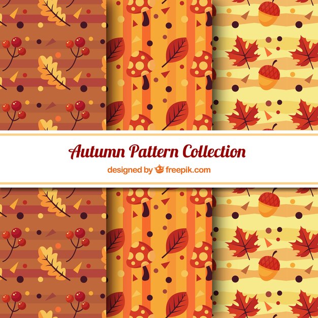 Three patterns with autumn leaves