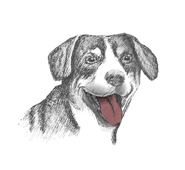 tshirt design face of dog hand drawn sketch on white background
