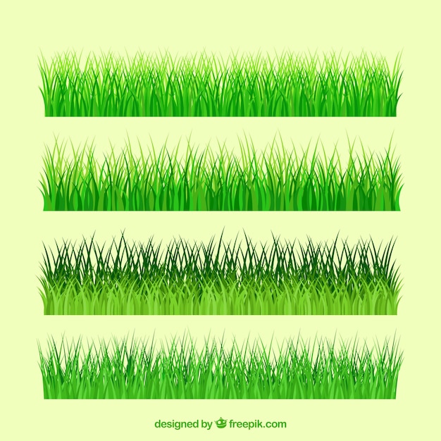 Various types of grass