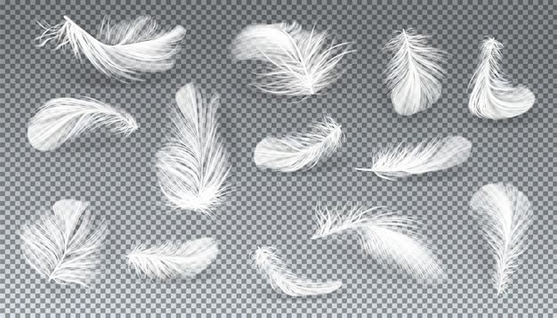 vector 3d realistic set of white bird or angel feathers in various shapes