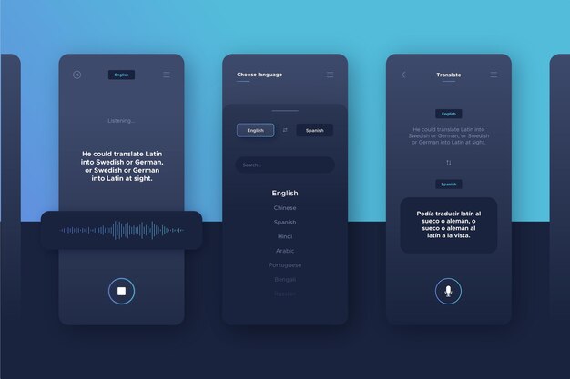 voice translator app set