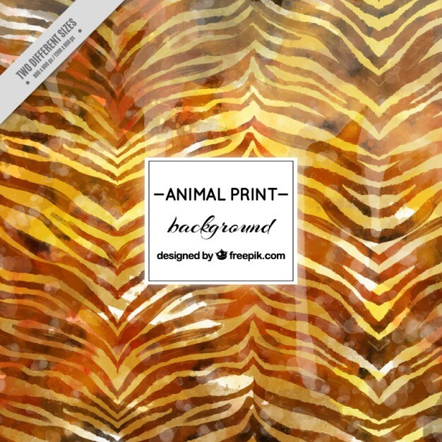 watercolor zebra abstract background