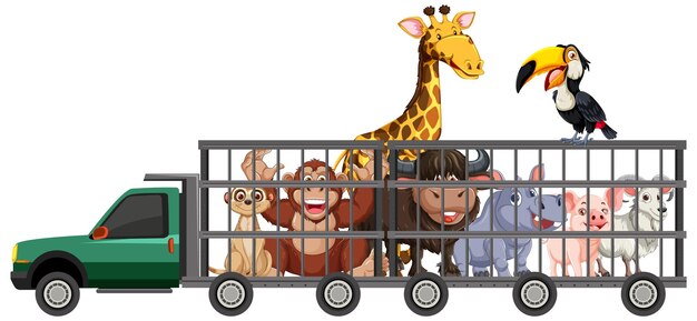 animal friends on a joyful truck ride