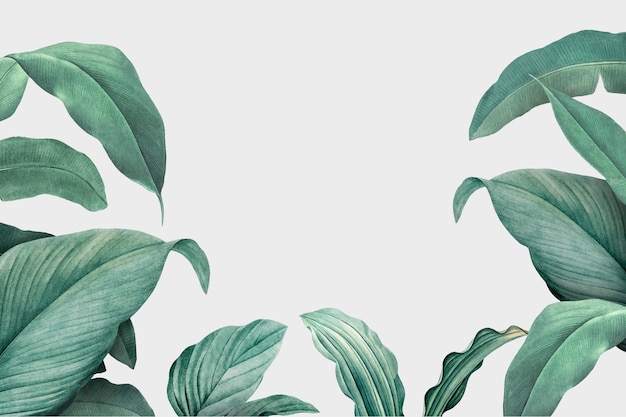 foliage background 