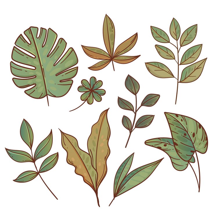 Gratis Vektor hand drawn green exotic leaves collection