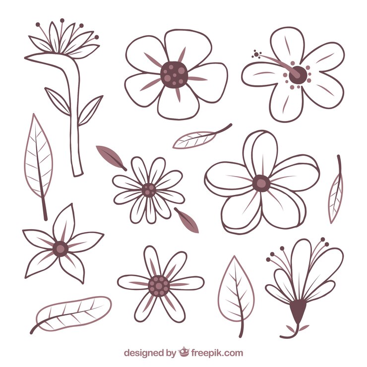 Gratis Vektor hand drawn tropical flower set