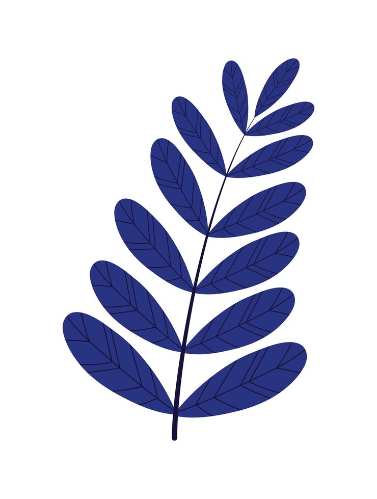 Gratis Vektor leaves foliage icon isolated style