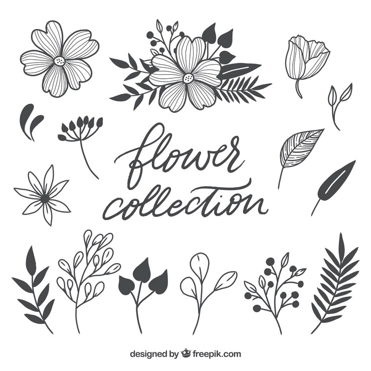 Gratis Vektor lovely hand drawn floral element collection