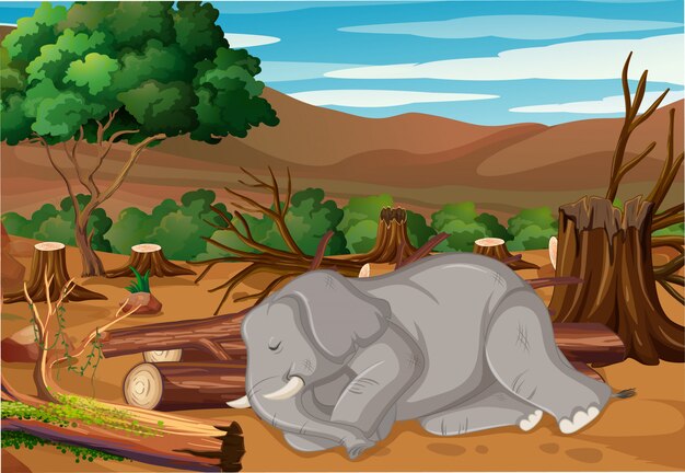 Scene for forurensningskontroll med elefant som dør i skogen