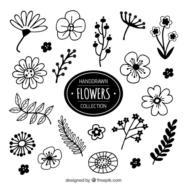 Gratis Vektor set of hand drawn flowers