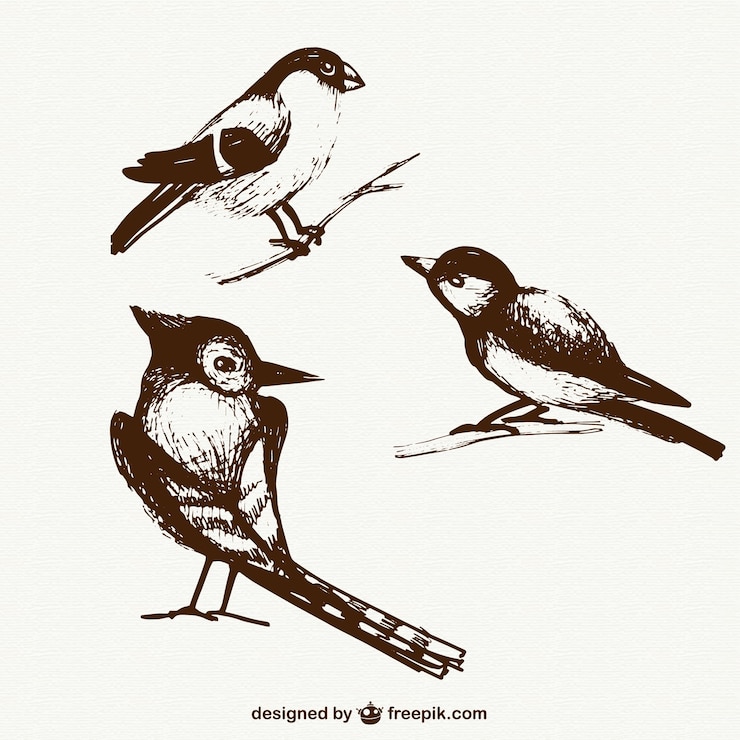 Gratis Vektor sketchy birds pack