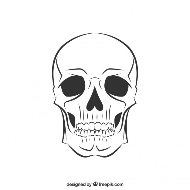 Gratis Vektor sketchy skull