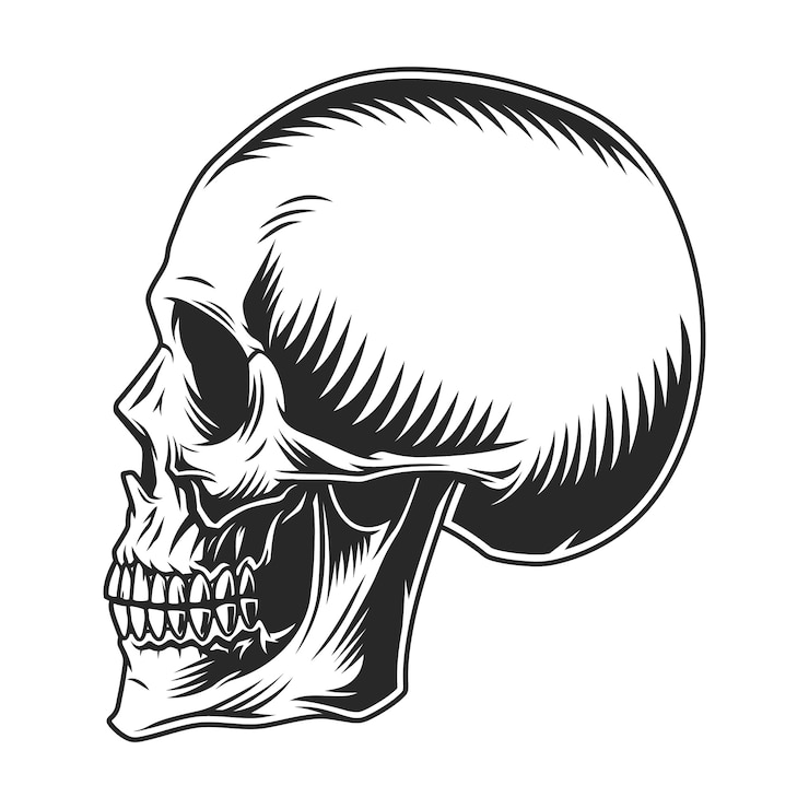Gratis Vektor vintage human skull profile template