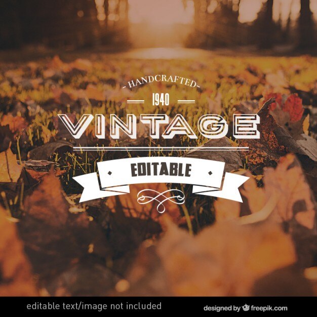 Gratis Vektor vintage logo
