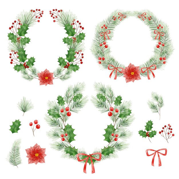watercolor christmas flower and wreath collection