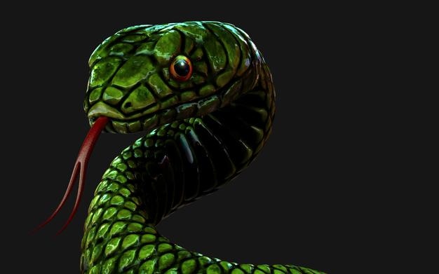 3d illustration green snake on dark black background 3d rendering model with clipping path