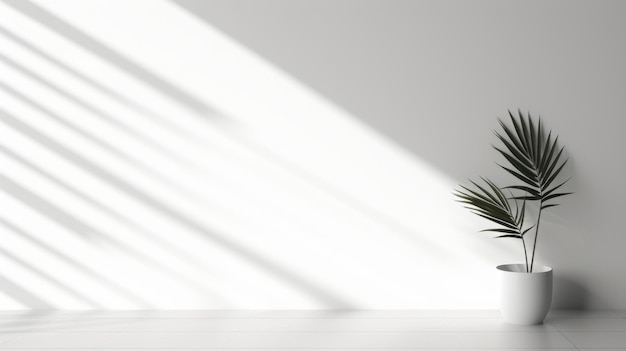 a palm tree is seen through a window with the sun shining through it