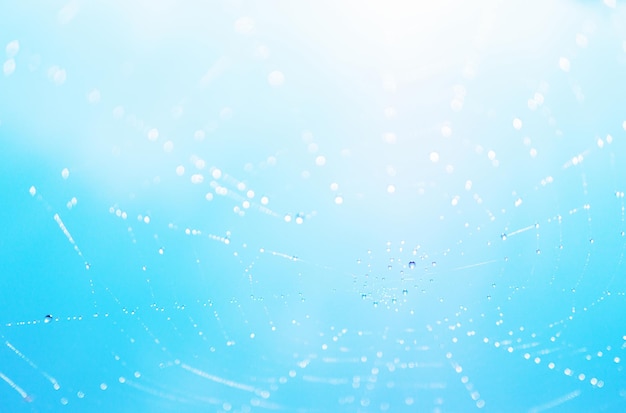 Abstract blur light blue sky background with spider web (cobweb), water dew drops and sun shine in morning time. Close up, selective focus, copy space, horizontal.