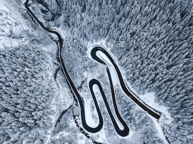 Aerial view of road and forest on snowy landscape