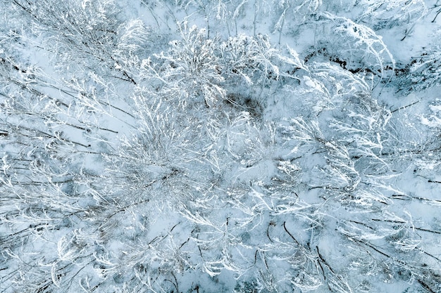 Aerial view of snow covered forest