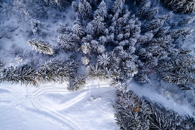 Aerial view of snow covered pine trees in forest during winter