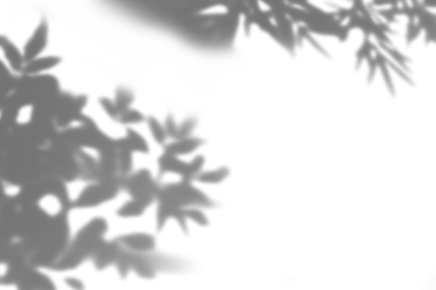 Aesthetic shadow overlay