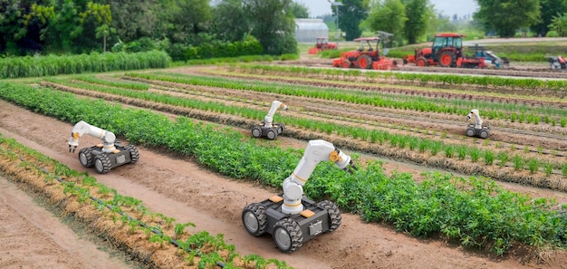 agriculture technology with robot assistant on field
