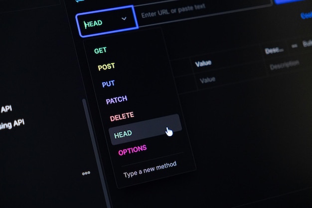 API development interface displaying HTTP methods like GET POST DELETE HEAD and OPTIONS with a mouse cursor selecting HEAD for web service programming