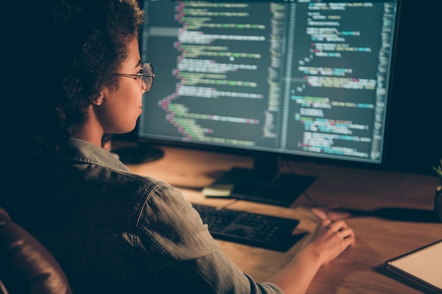 Back behind view photo of programmer lady look big monitor
