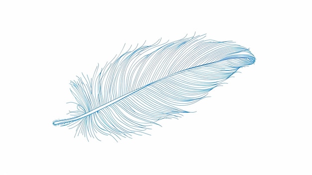 bird feathers background pattern banner wings background picture seamless background