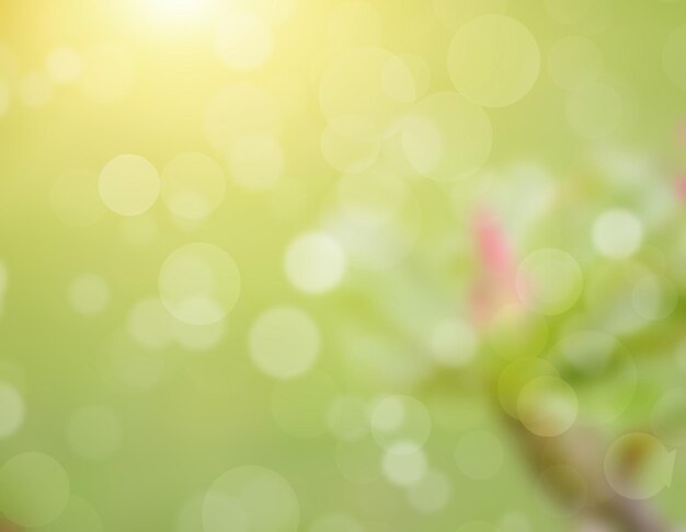 blurred flowers, abstract background, amazing and beautiful colors.