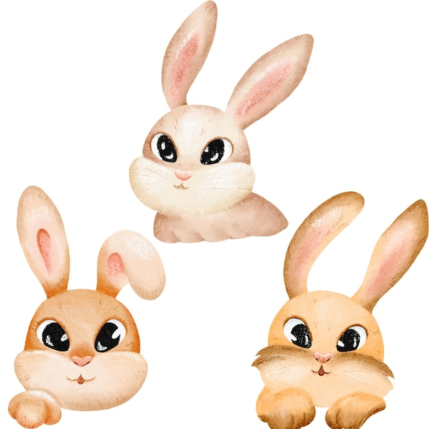 Bunny and rabbit watercolor set Hand drawn bunnies and rabbits in different color hare easter