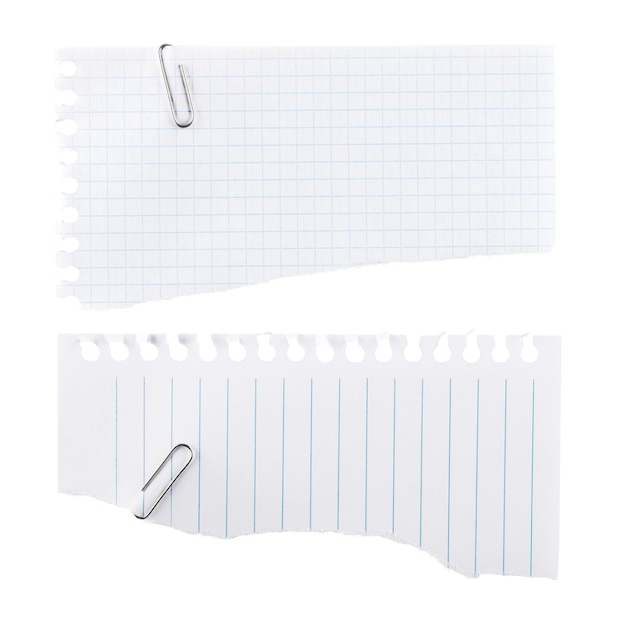 Các tờ giấy trắng bị xé từ sổ ghi chép - Cô lập