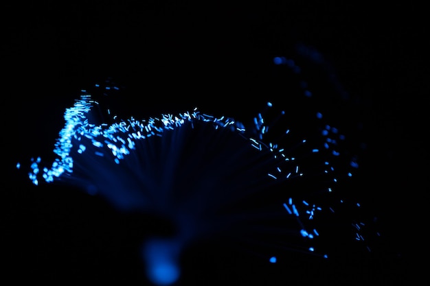 close-up of illuminated christmas lights