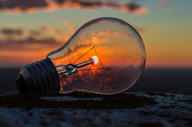 Close-up of light bulb during sunset