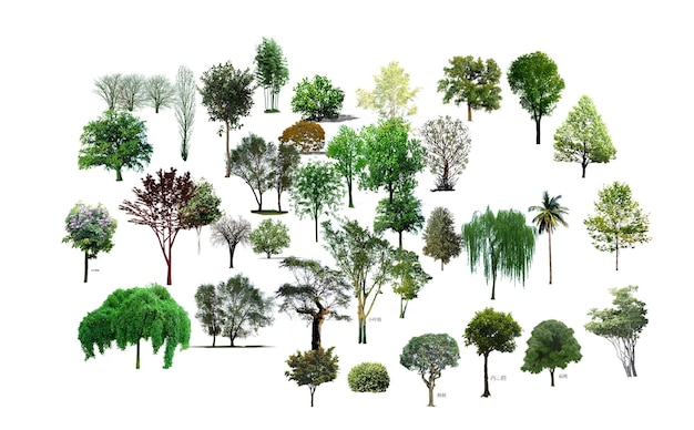 Collection of various trees
