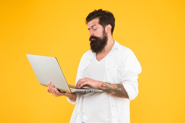 concentrated hipster use notebook bearded man laptop yellow wall shopping online successful developer education in digital world programming brutal man surfing internet concentrated on work