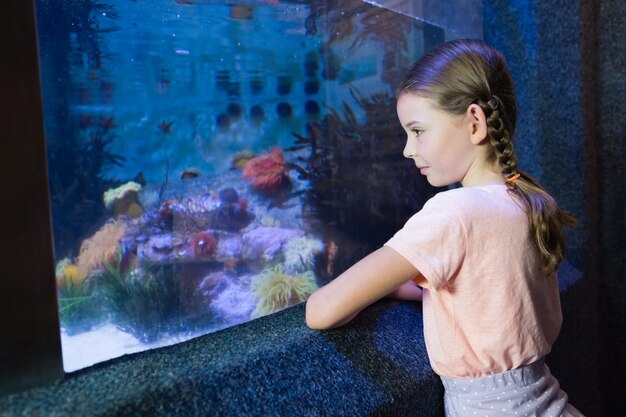 Cute girl looking at fish tank