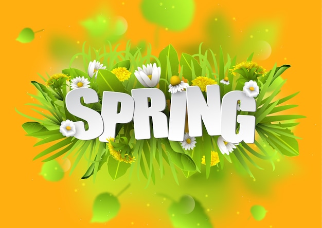 Floral spring typography background with dandelions and chamomiles