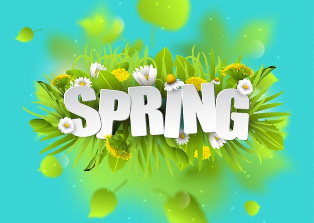 Floral spring typography background with dandelions and chamomiles