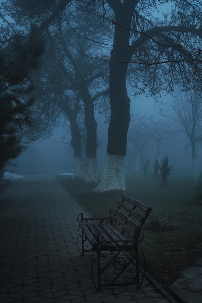 foggy mystic alley with bench in park with fog mist in the morning in autumn