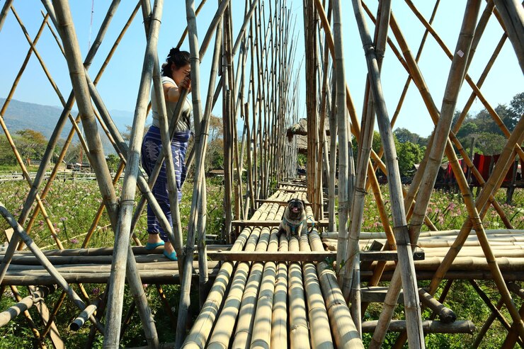 Photo full length of woman with dog standing on wooden built structure