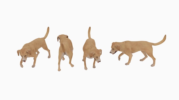 Golden brown dog isolated on white background 3D rendering of DOG