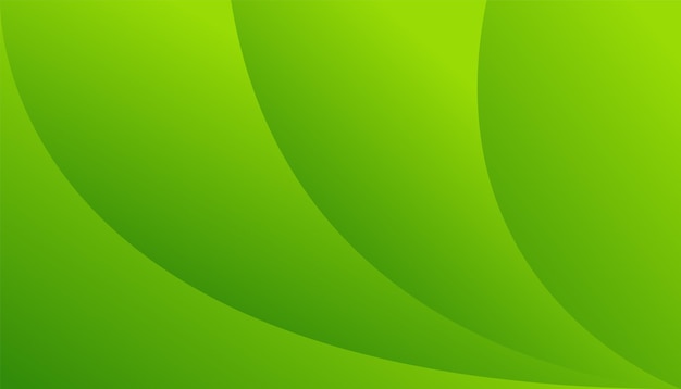 green background colorful banner