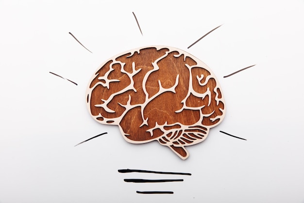 Idea solution concept brain as a light bulb